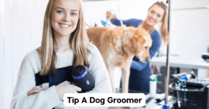Read more about the article Tip A Dog Groomer: Achieving a Happy And Healthy Dog Through Expert Grooming