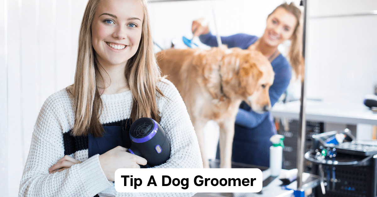 You are currently viewing Tip A Dog Groomer: Achieving a Happy And Healthy Dog Through Expert Grooming